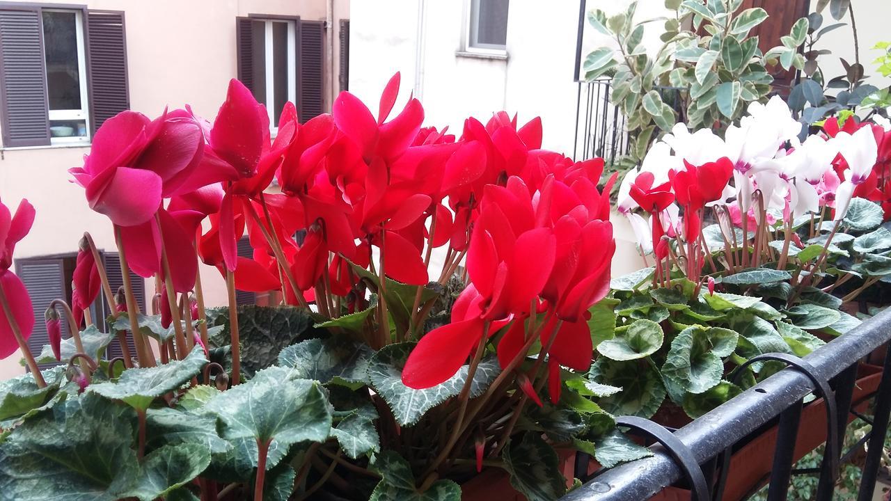 Appartement Lilium House Aventino